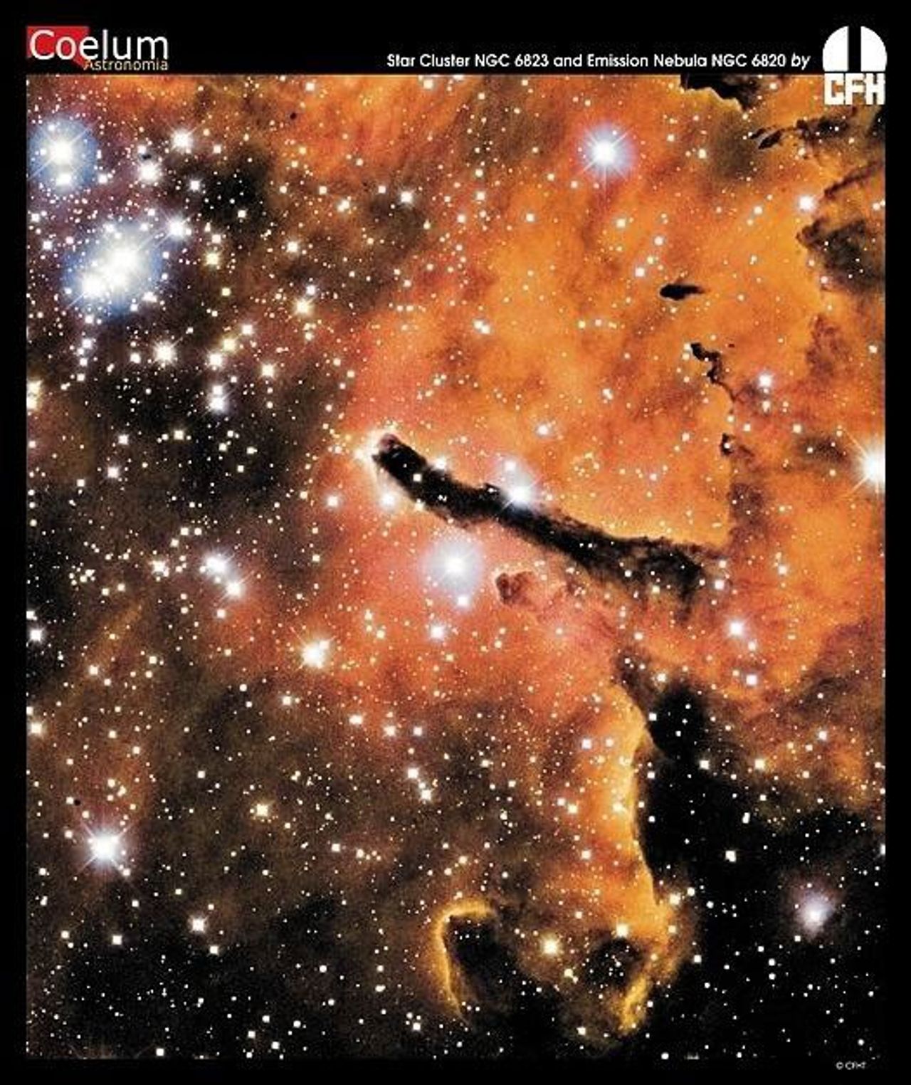 NGC 6823: Cloud Sculpting Star Cluster