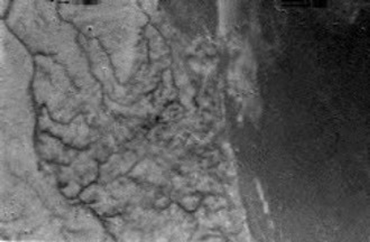 Huygens Images Titan's Surface