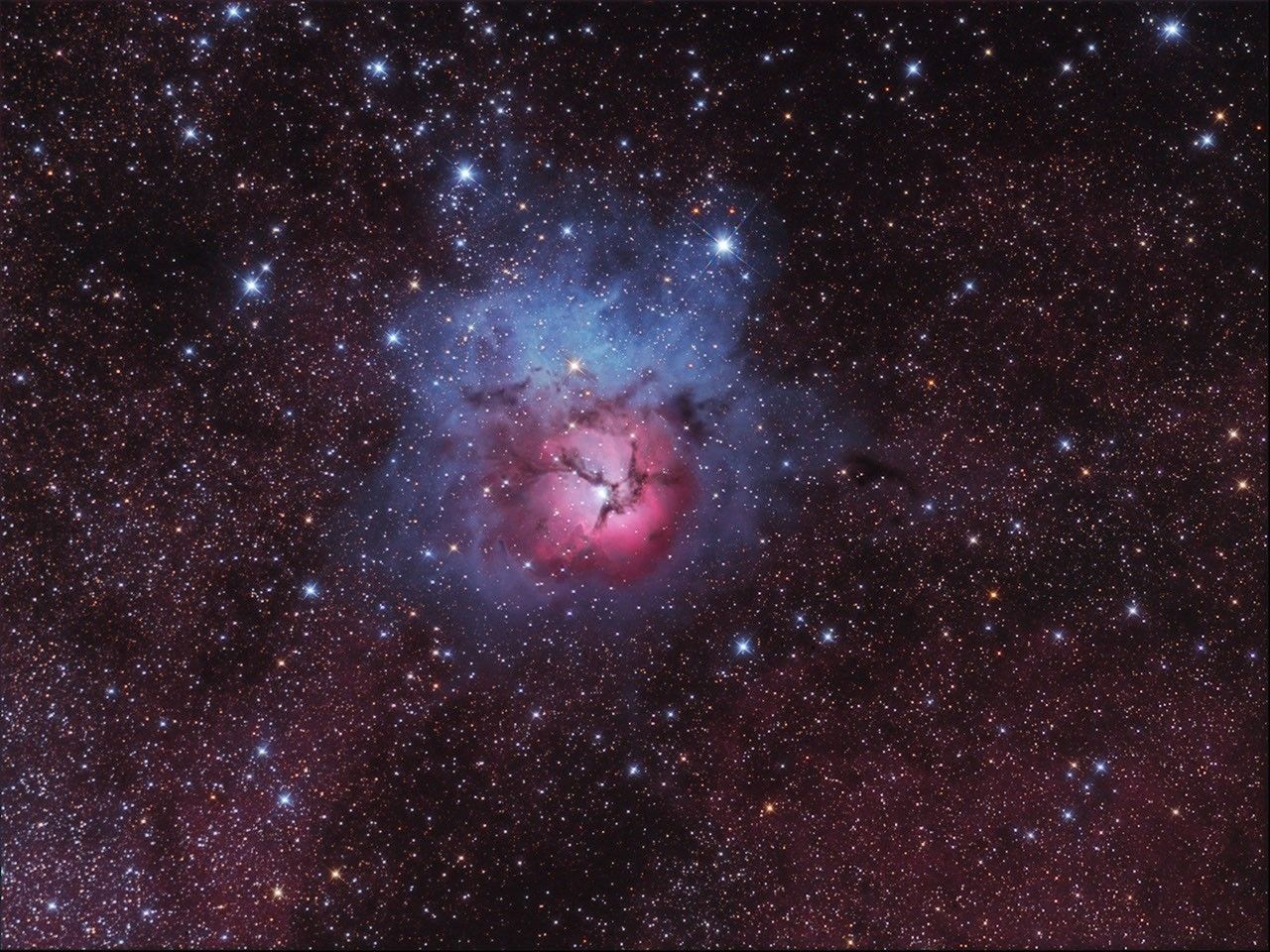 A Beautiful Trifid