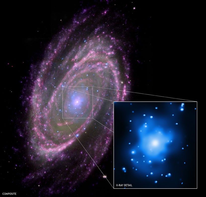 APOD: 2008 June 27 – M81: Feeding a Black Hole