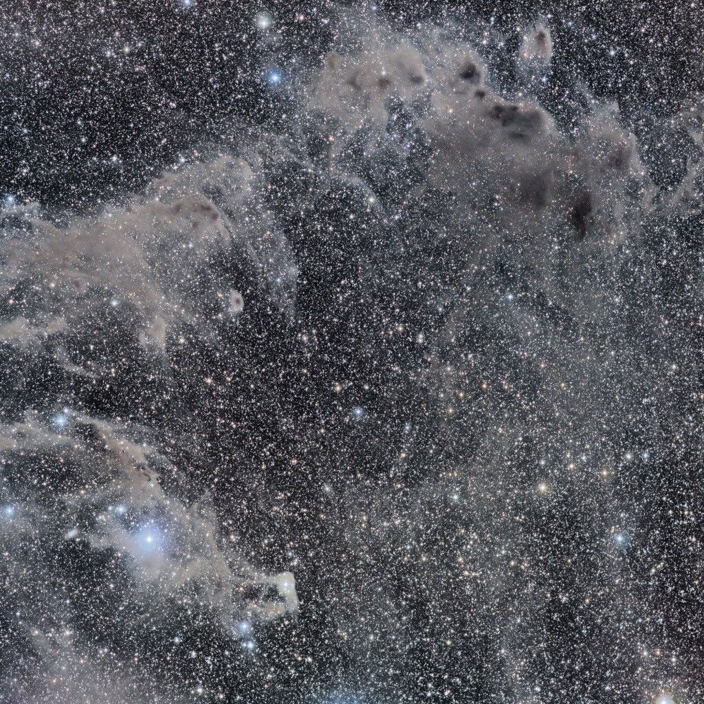 APOD: 2009 July 15 – The Chameleon’s Dark Nebulae