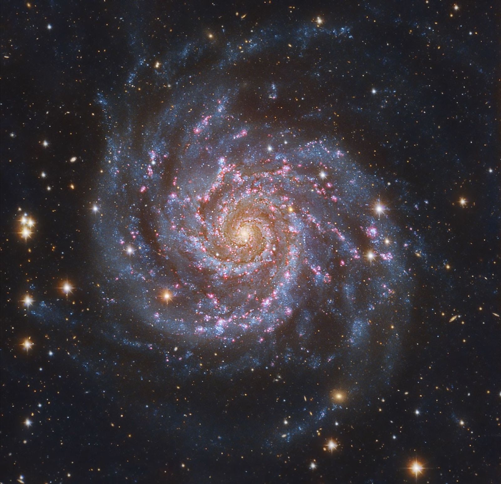 M74: The Perfect Spiral