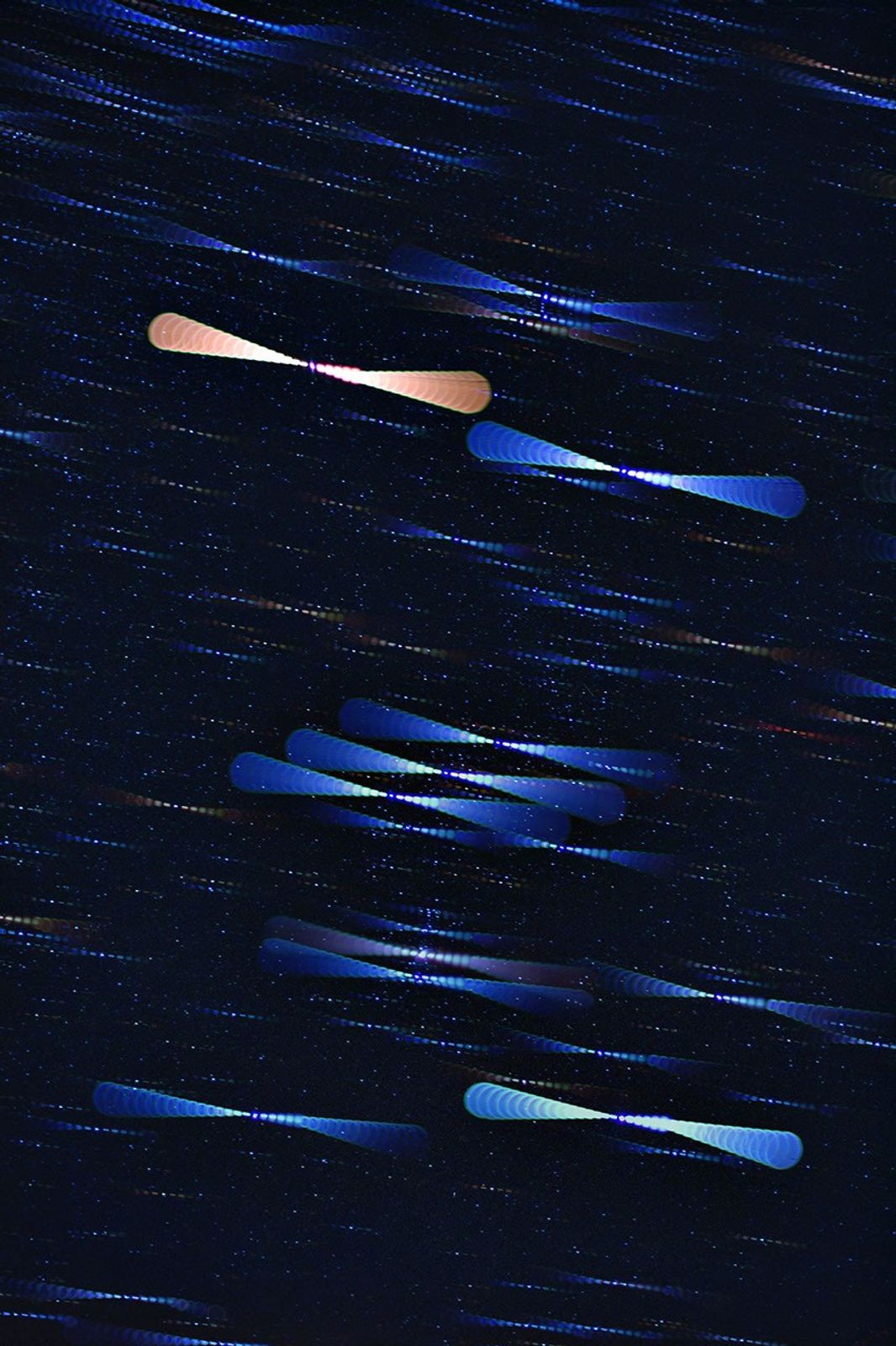 Star Colors in Orion
