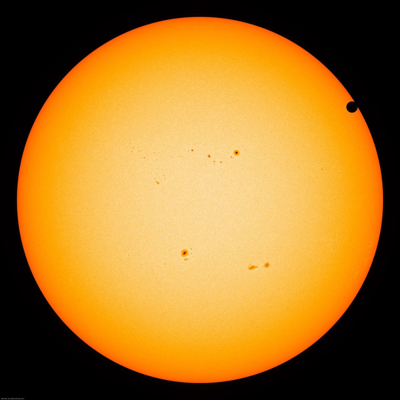Live: Watching for Venus to Cross the Sun