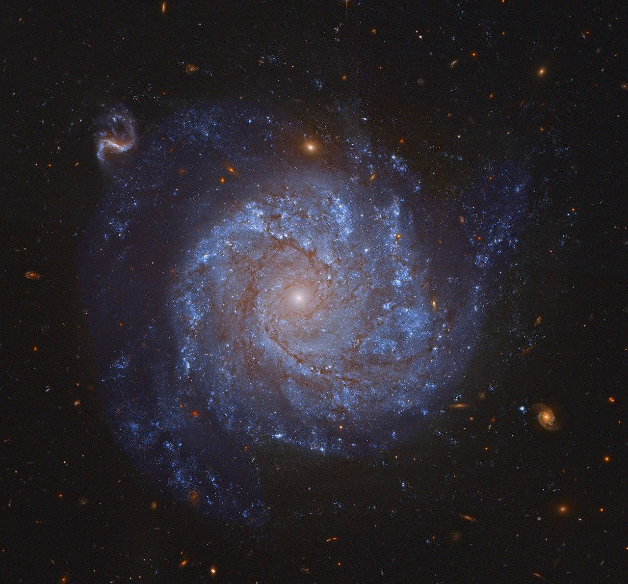 NGC 1309: Spiral Galaxy and Friends