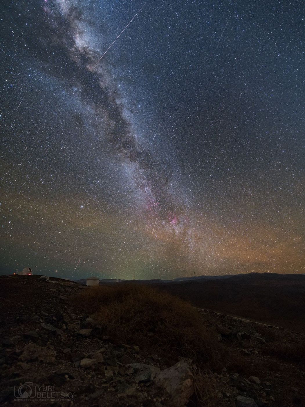 Delphinid Meteor Mystery