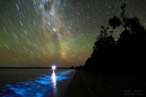 A Luminous Night