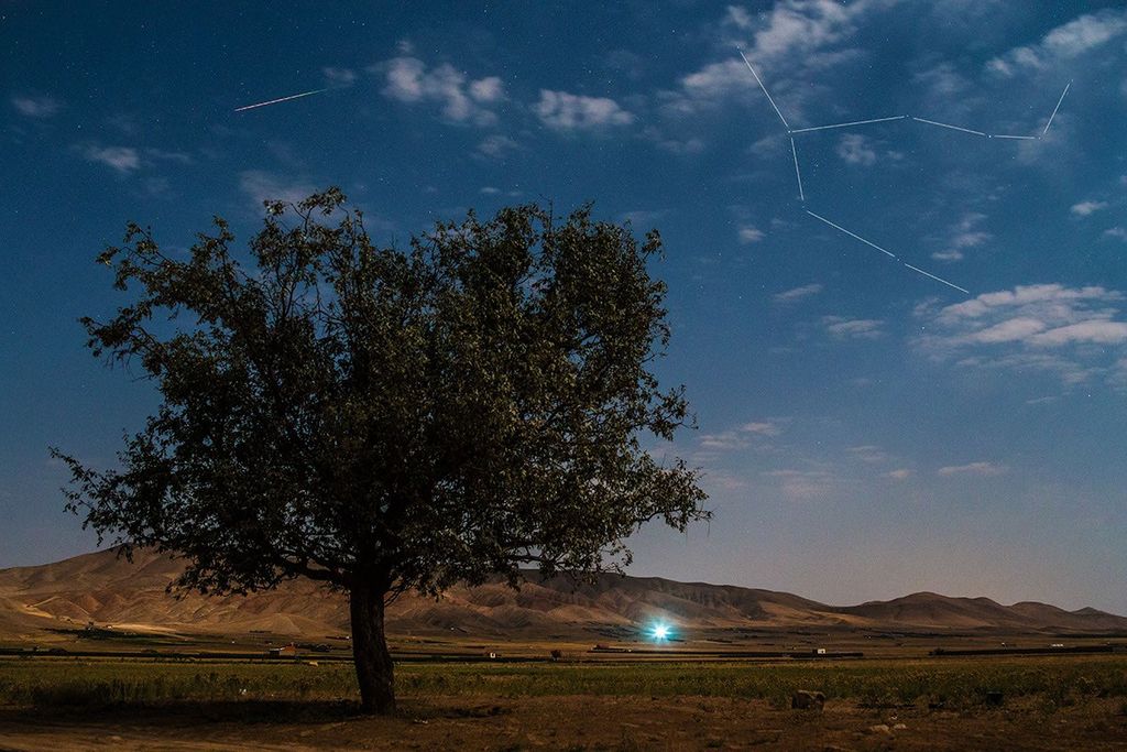 APOD: 2014 August 15 – Perseid in Moonlight