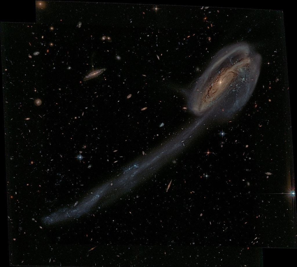 APOD: 2014 August 25 – Arp 188 and the Tadpole’s Tail