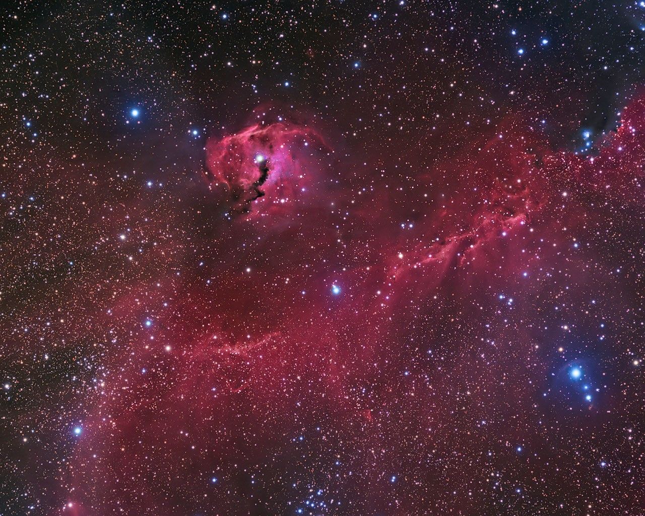 The Seagull Nebula