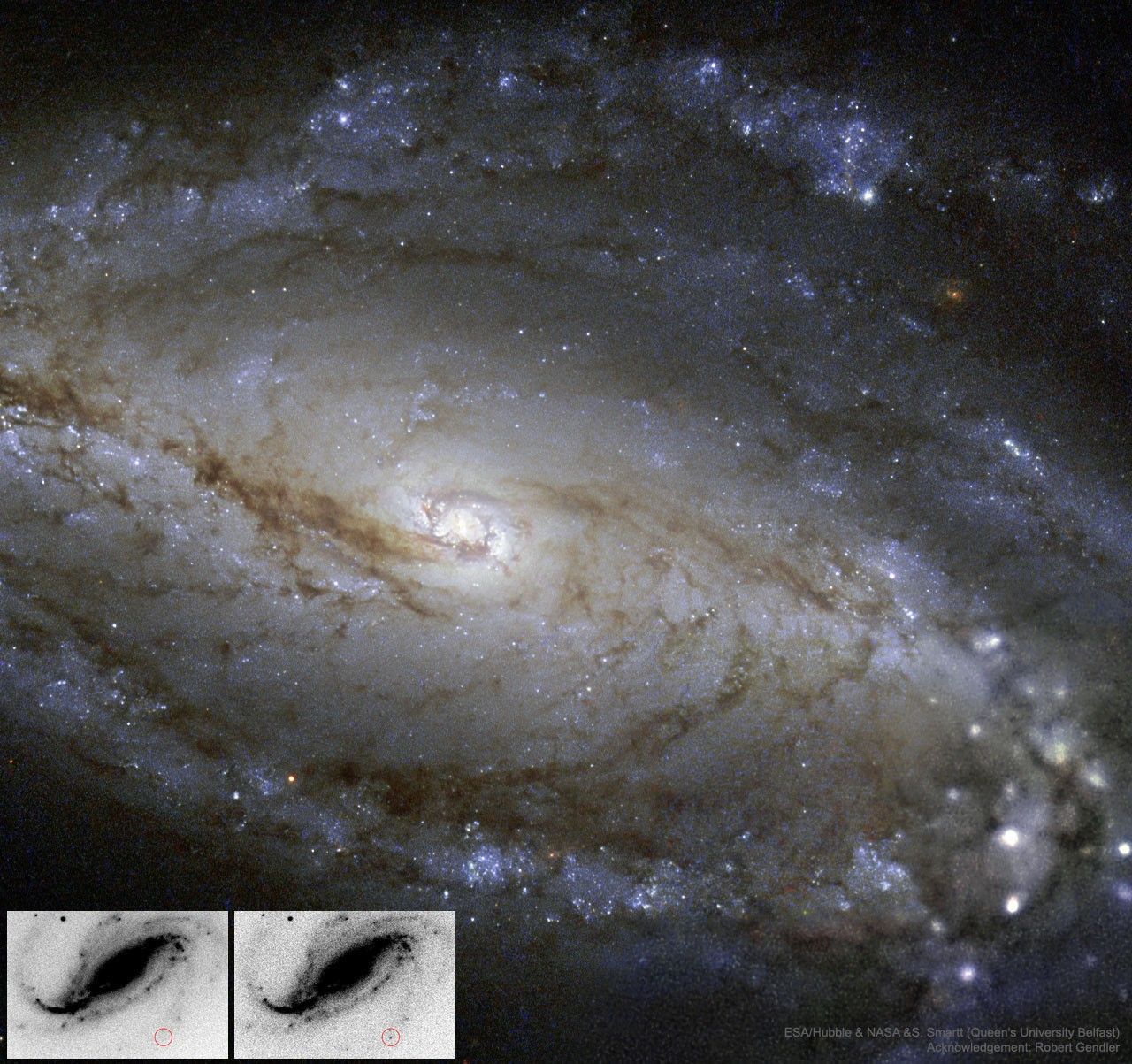 NGC 613 in Dust, Stars, and a Supernova