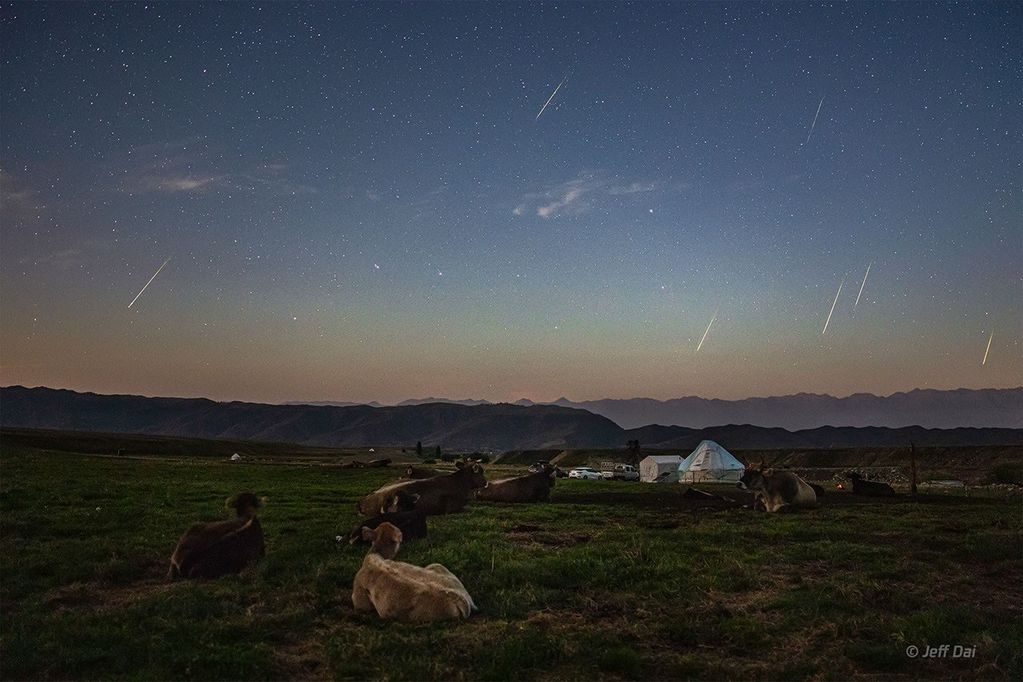 APOD: 2019 August 15 – The Perseids and the Plough