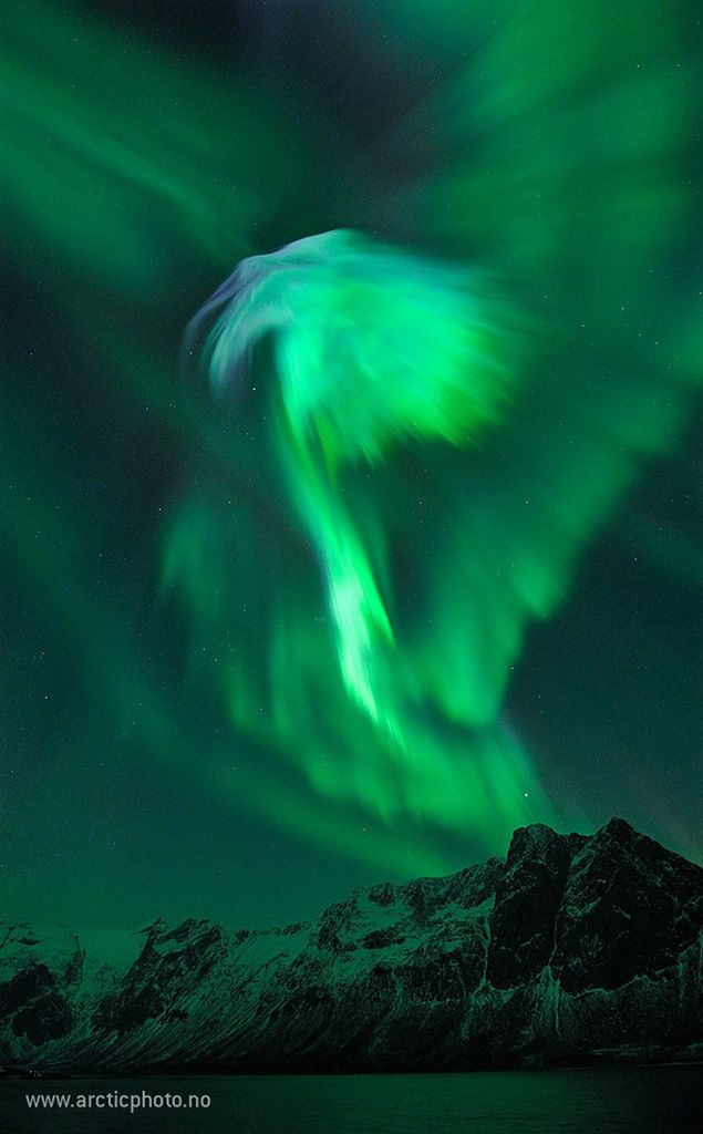 APOD: 2019 July 14 – Eagle Aurora over Norway