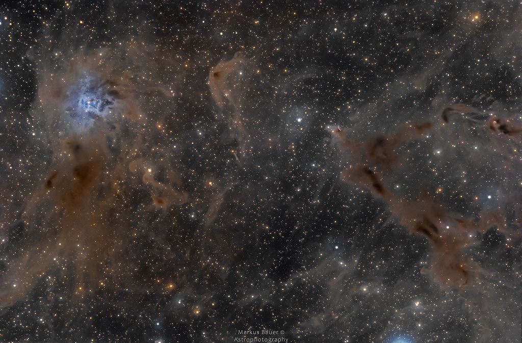 APOD: 2019 September 12 – The Iris Nebula in a Field of Dust