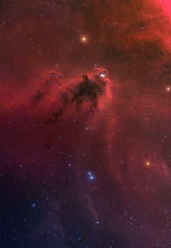 LDN 1622: Dark Nebula in Orion