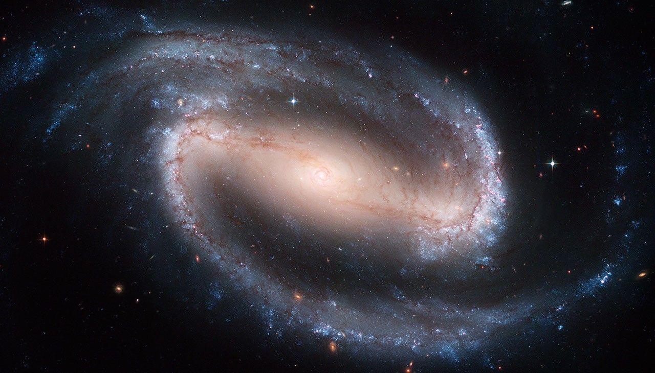Barred Spiral Galaxy NGC 1300