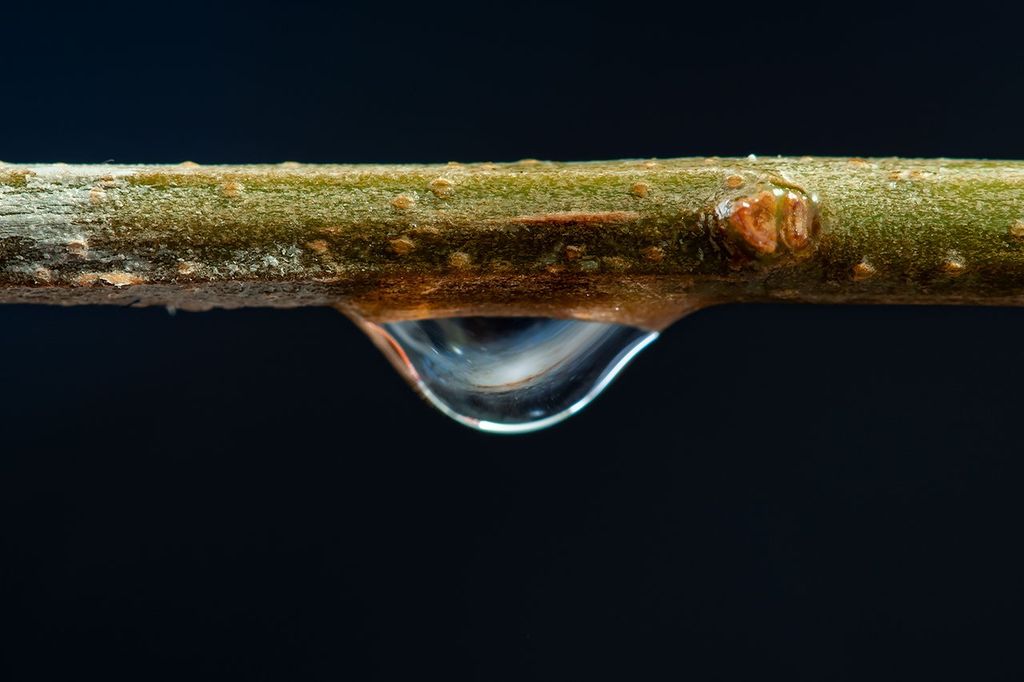 APOD: 2020 March 27 – A Little Drop of Galaxy