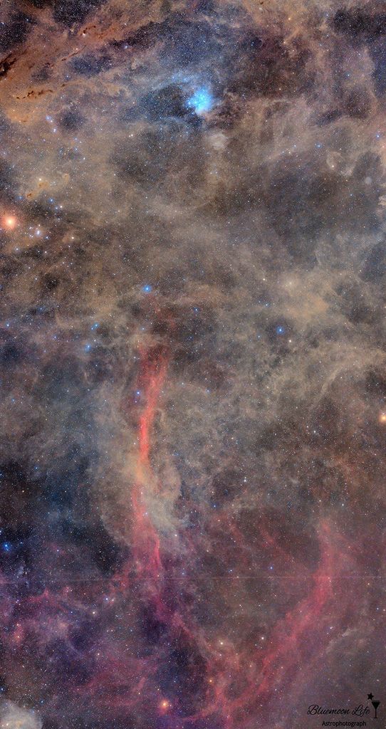 APOD: 2020 March 23 – From the Pleiades to the Eridanus Loop