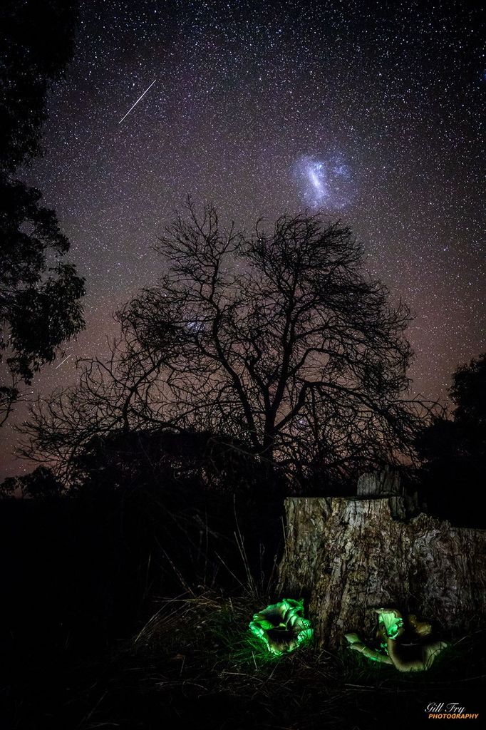 APOD: 2020 May 23 – Ghost Fungus to Magellanic Cloud