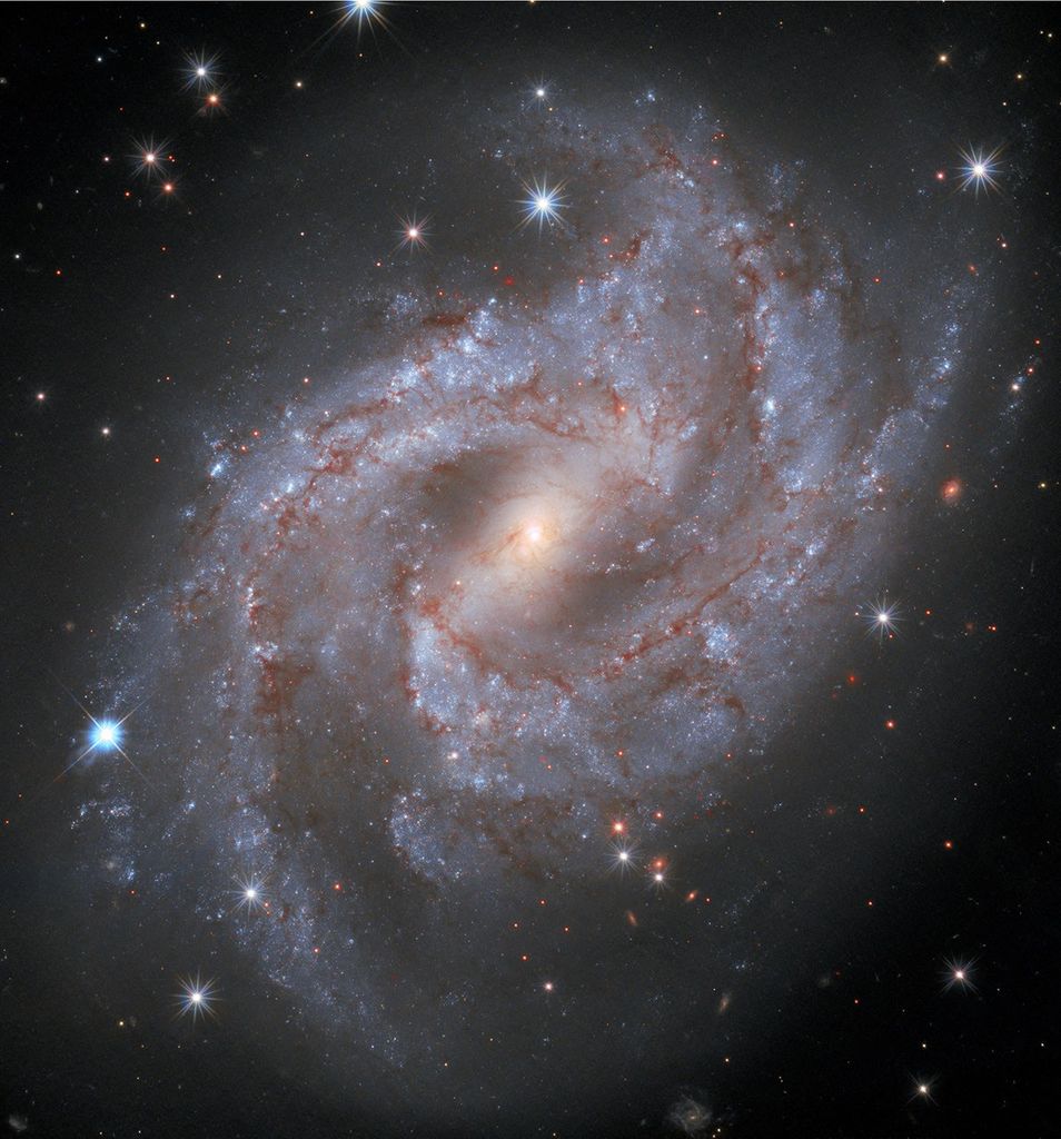 APOD: 2020 October 23 – Supernova in NGC 2525