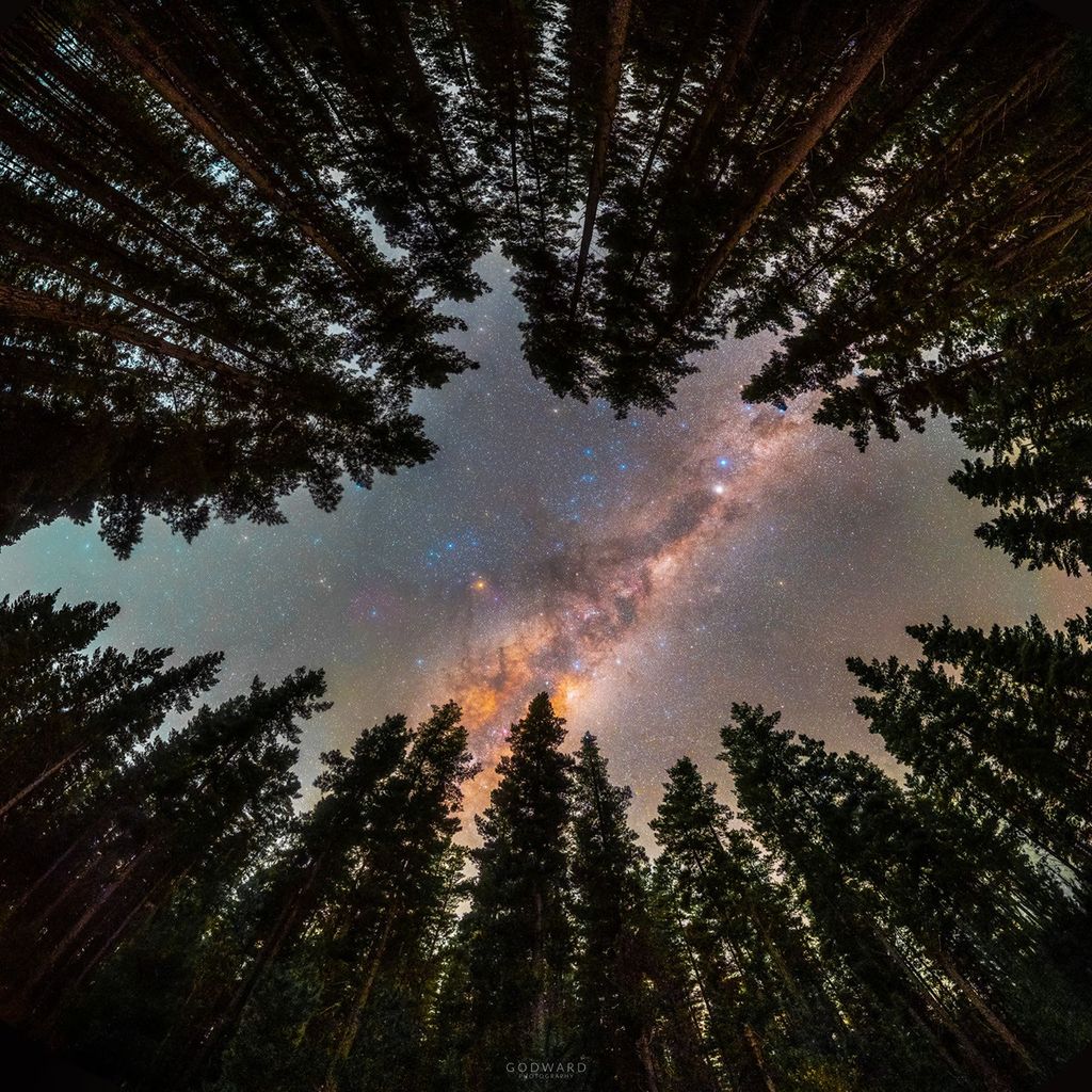 APOD: 2021 July 19 – Framed by Trees: A Window to the Galaxy