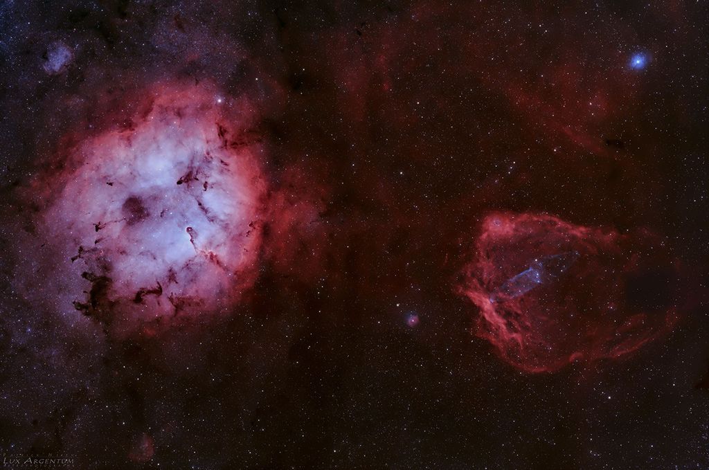 APOD: 2021 July 23 – Elephant, Bat, and Squid