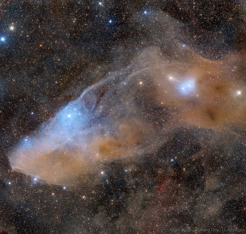APOD: 2021 July 5 – IC 4592: The Blue Horsehead Reflection Nebula