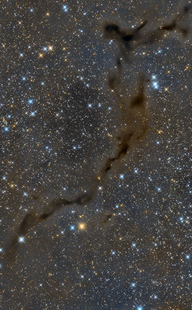 APOD: 2021 November 5 – The Dark Seahorse in Cepheus