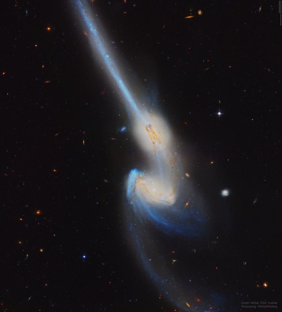 APOD: 2021 October 4 – NGC 4676: When Mice Collide