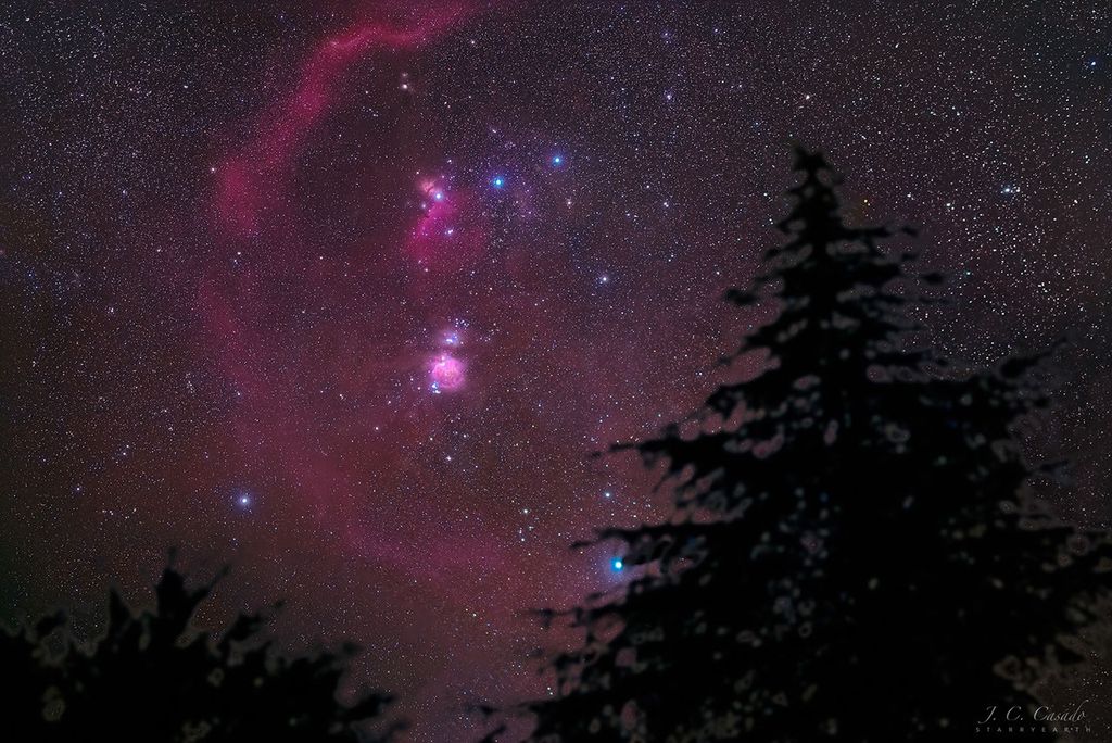 APOD: 2022 April 16 – Orion Pines
