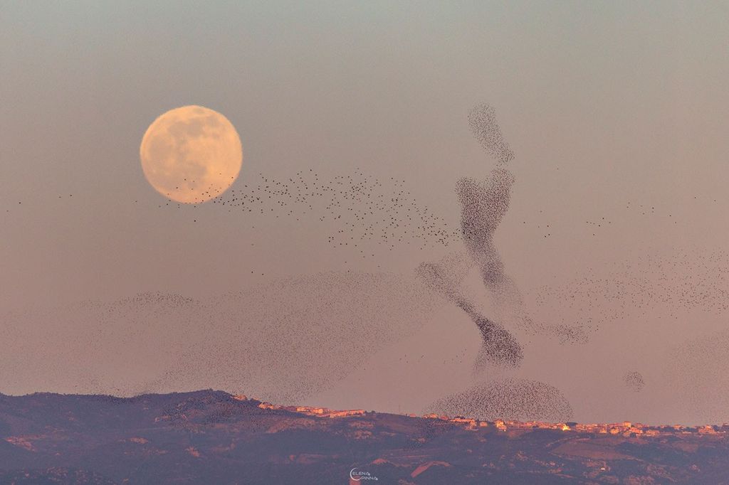 APOD: 2022 January 22 – The Full Moon and the Dancer
