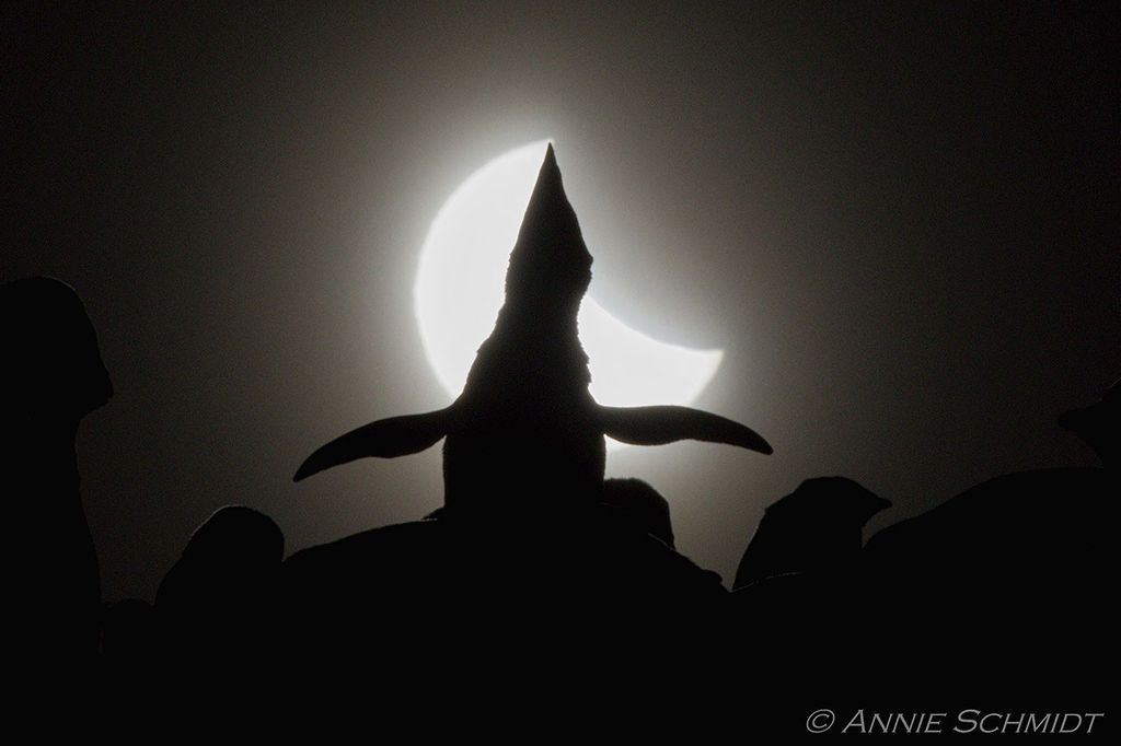 APOD: 2022 January 7 – Ecstatic Solar Eclipse