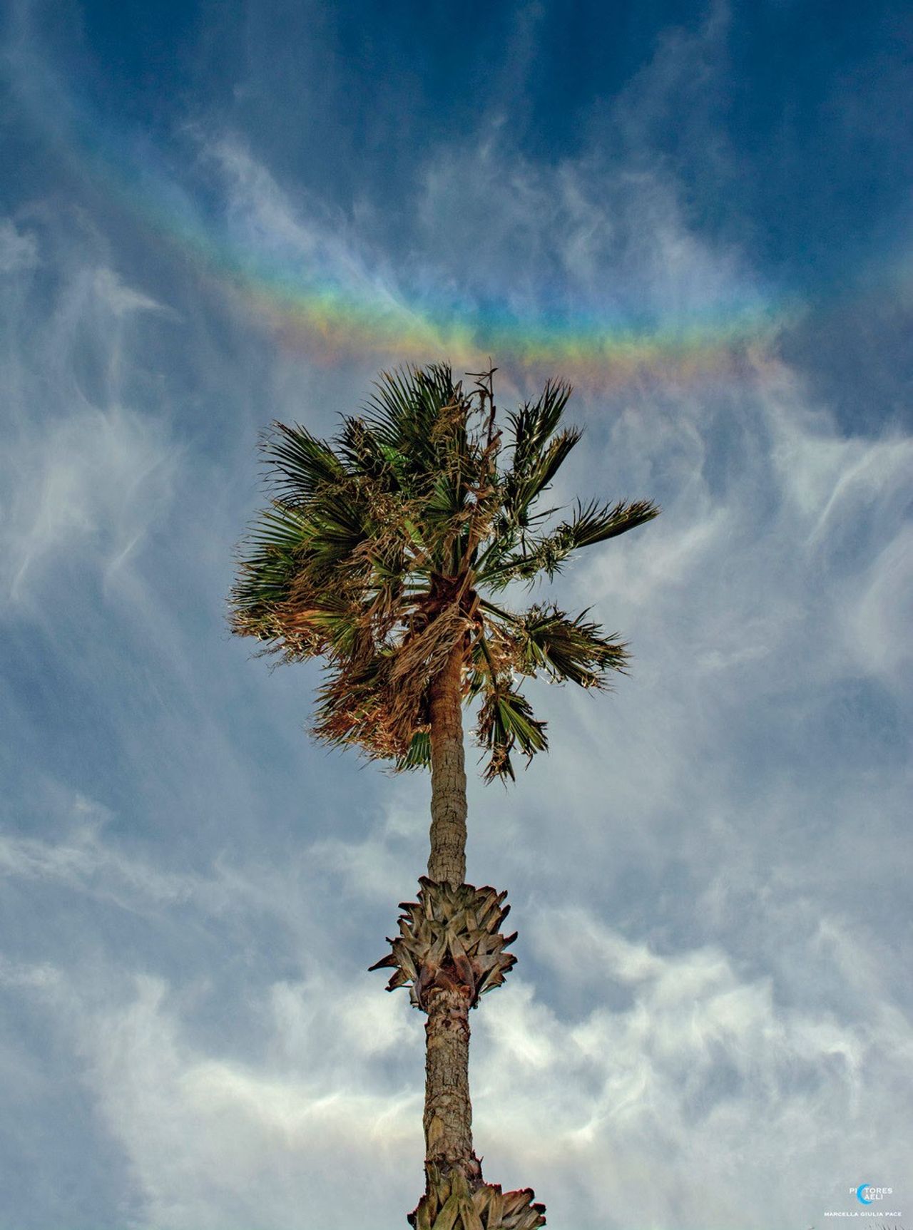 When Rainbows Smile