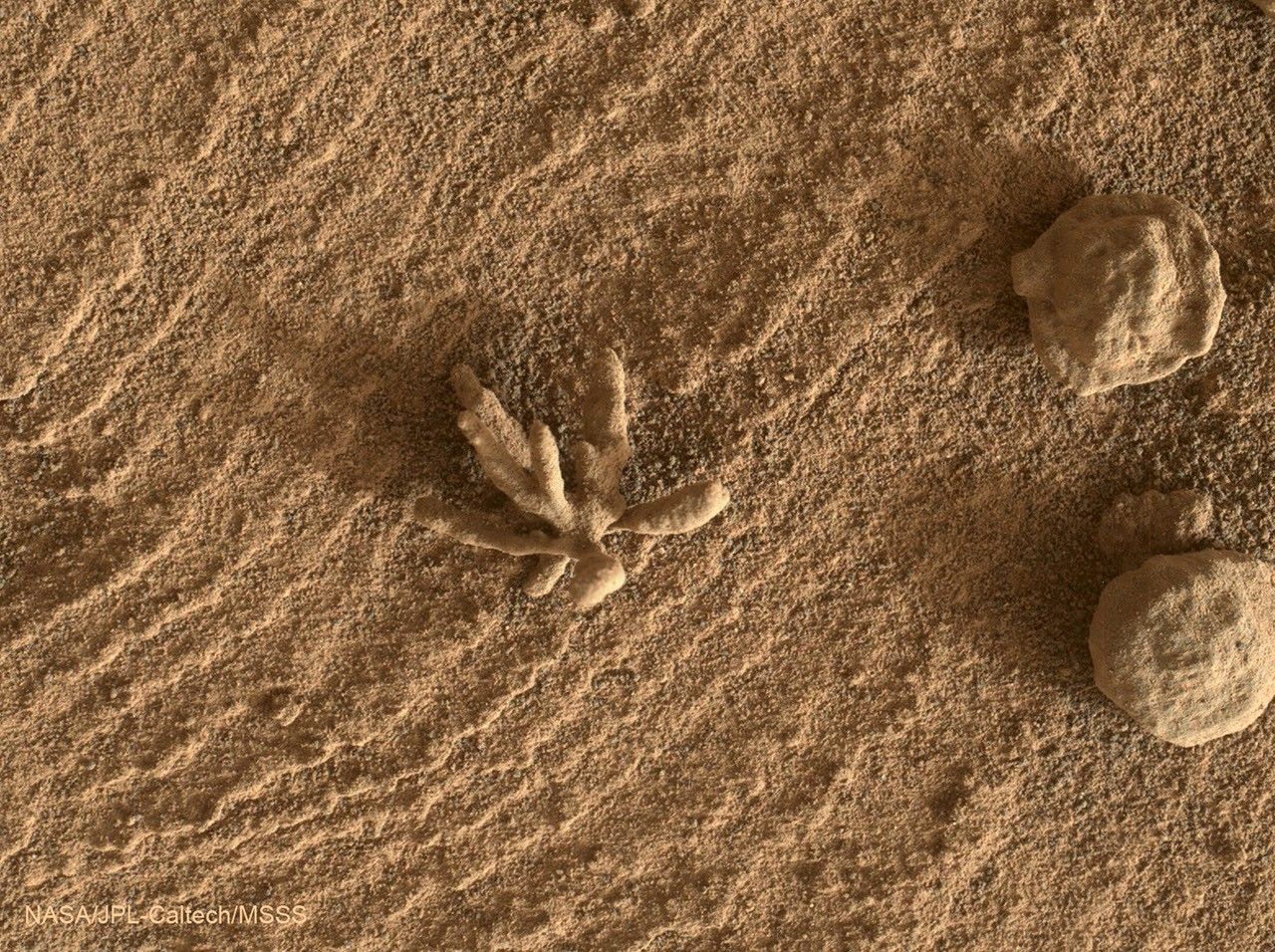 The featured image shows a penny-sized rock on Mars discovered by the Curiosity Rover in late February 2022. The rock is unusual because it has several appendages that make it appear a bit like a flower. Please see the explanation for more 