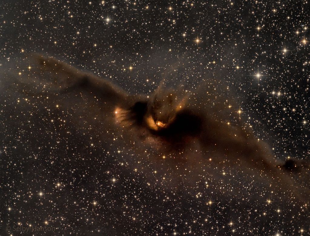APOD: 2022 October 31 – LDN 43: The Cosmic Bat Nebula