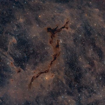 The Dark Seahorse in Cepheus