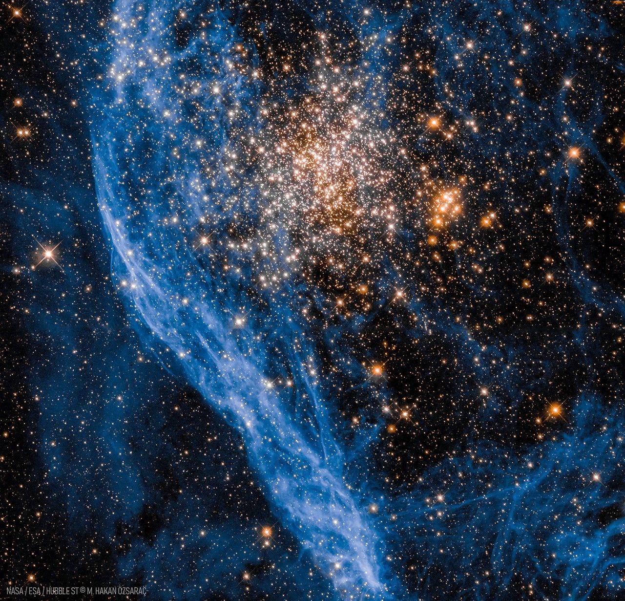A ball of yellow stars is seen to the right of blue-glowing gas filaments. Other blue filaments and foreground stars cover the frame. Please see the explanation for more detailed information.