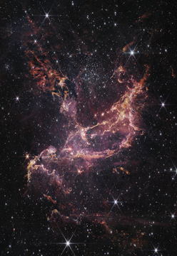 Young Star Cluster NGC 346