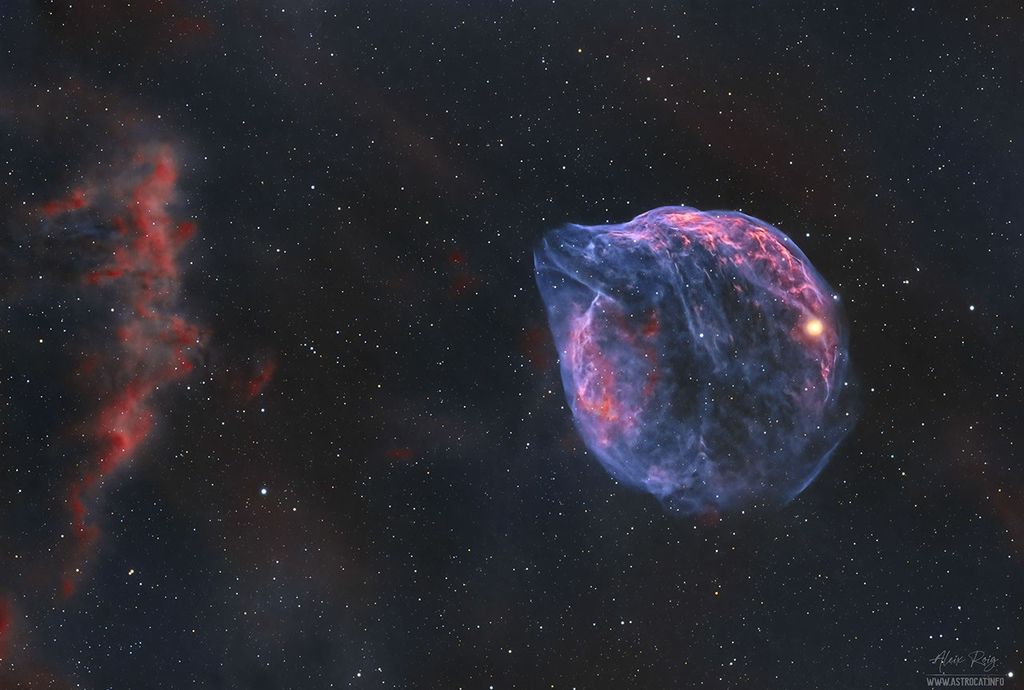 APOD: 2023 March 29 – Sh2-308: A Dolphin Shaped Star Bubble