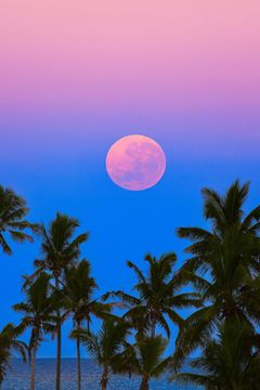 South Pacific Shadowset