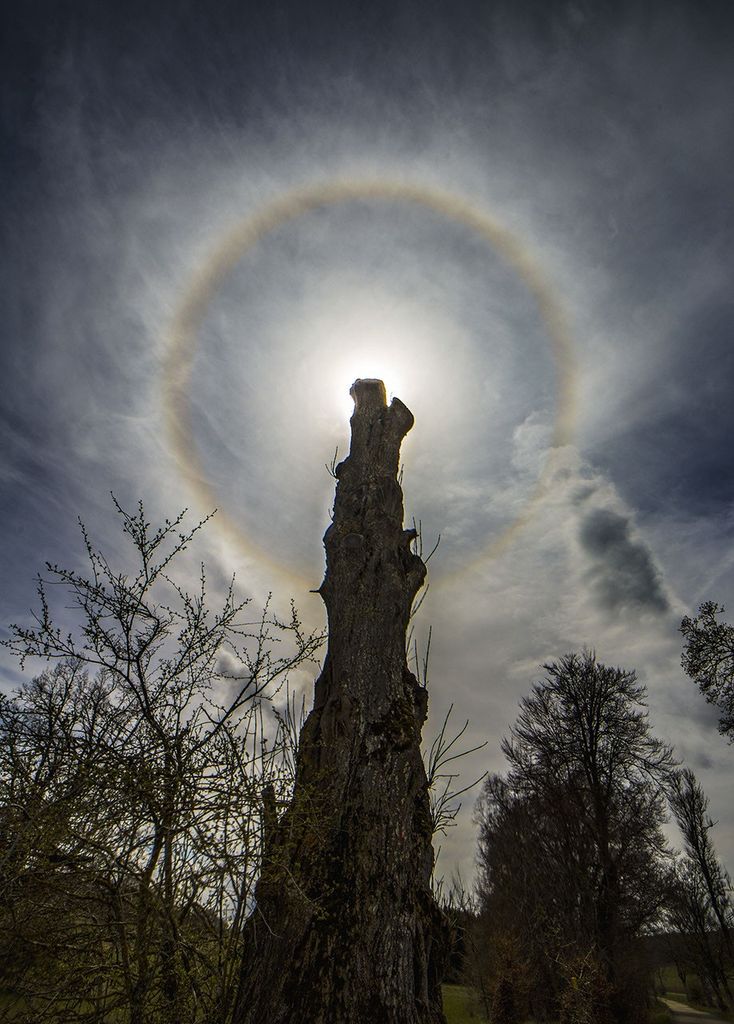 APOD: 2024 January 13 – Circling the Sun