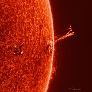 Part of the Sun is pictured, oriented as the right edge. The surface is textured like a carpet. Over the edge a long multi-pronged prominence stands out. Behind the Sun is the darkness of space. Please see the explanation for more detailed 