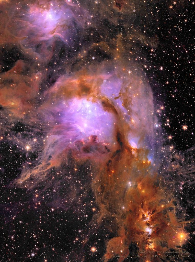 APOD: 2024 May 24 – M78 from the Euclid Space Telescope