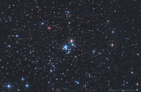 The 37 Cluster