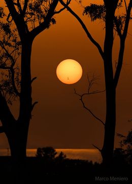 A distant Sun is seen over water and between foreground trees. On the lower part of the Sun is the gigantic active region AR 3664 visible by its dark sunspots. Please see the explanation for more detailed information.