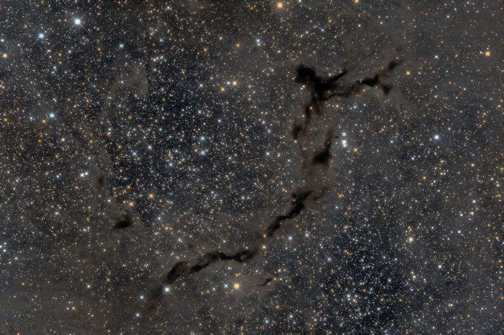 APOD: 2024 September 19 – The Dark Seahorse of Cepheus
