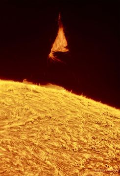 The featured image shows the surface of the Sun with a flowing texture in red light. Above the Sun's surface an unusual triangular prominence hovers. Please see the explanation for more detailed information.