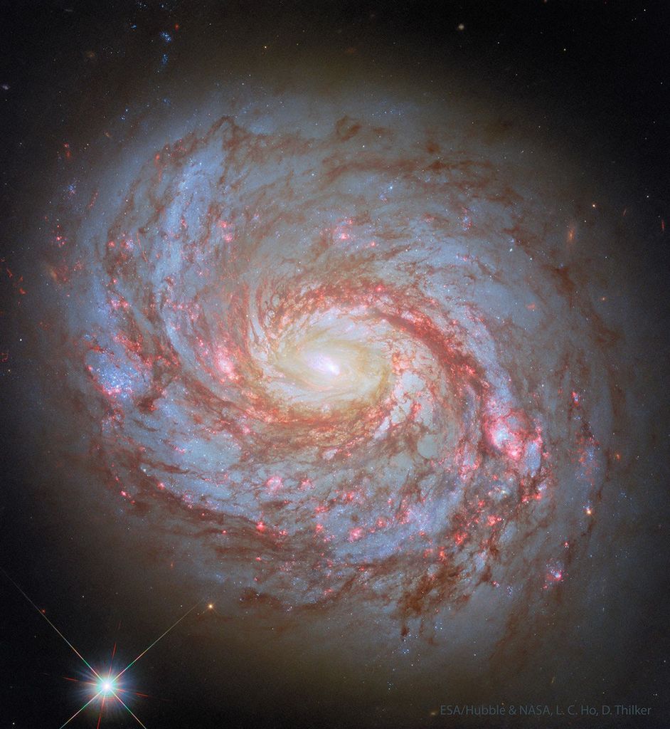 APOD: 2025 December 2 – M77: Spiral Galaxy with an Active Center