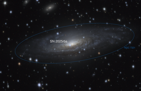 Supernova 2025rbs in NGC 7331