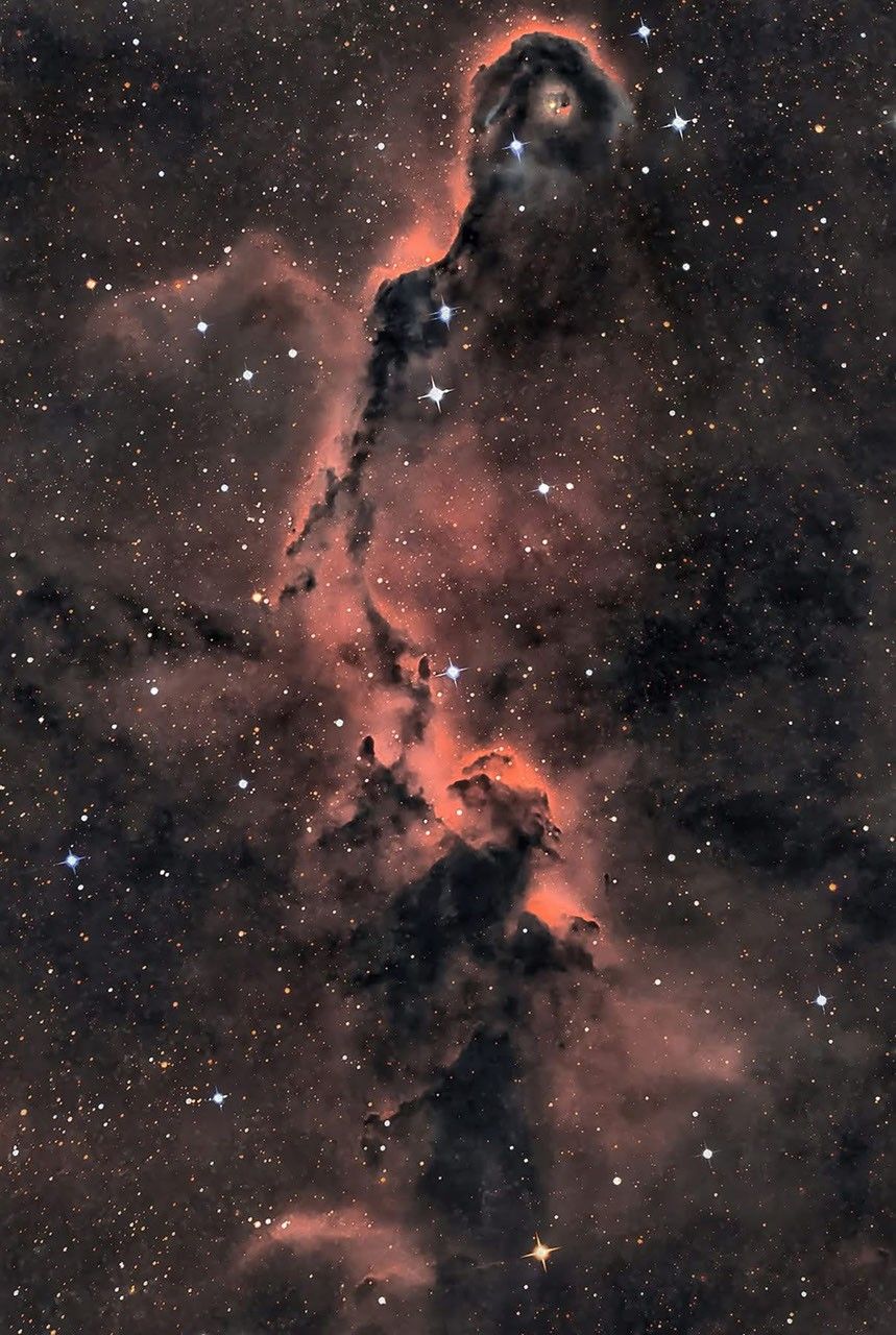 The Elephant's Trunk in Cepheus